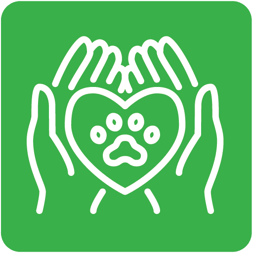 Pet Wellness Hands Holding Heart Icon