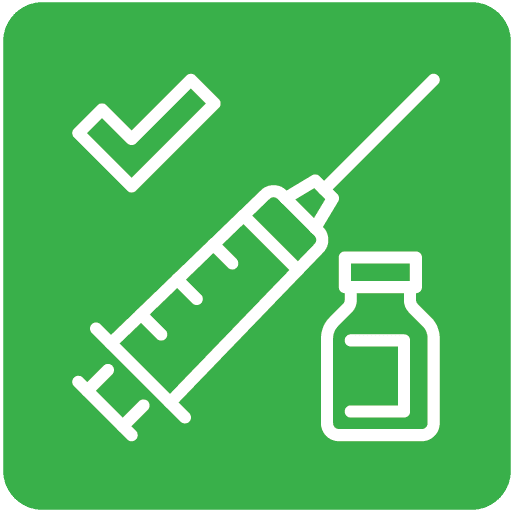 Vaccinations Syringe Icon
