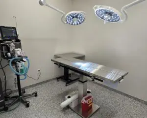 1000073940