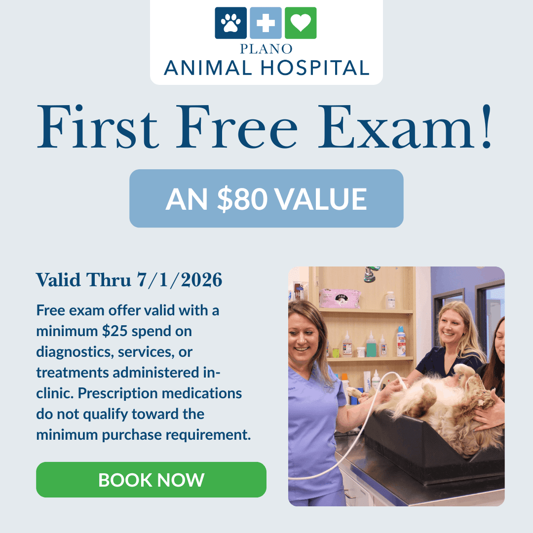 First Free Exam!