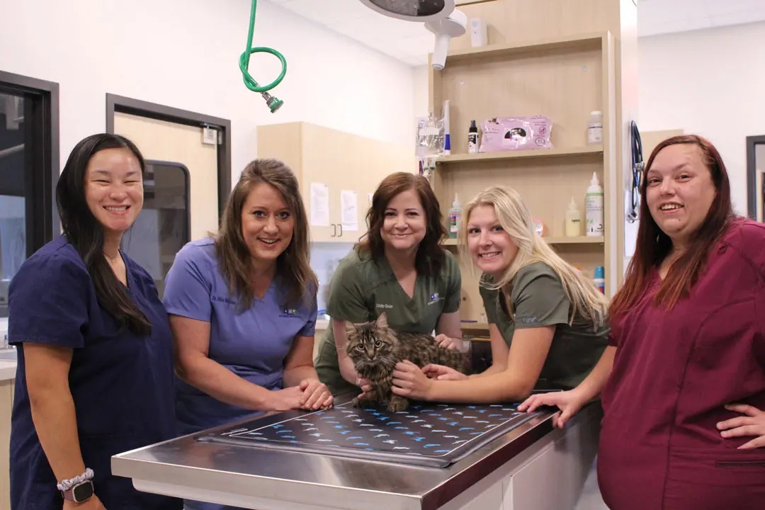 group of veterinary staff members smiling with a cat