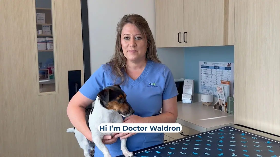 Dr Waldron Video