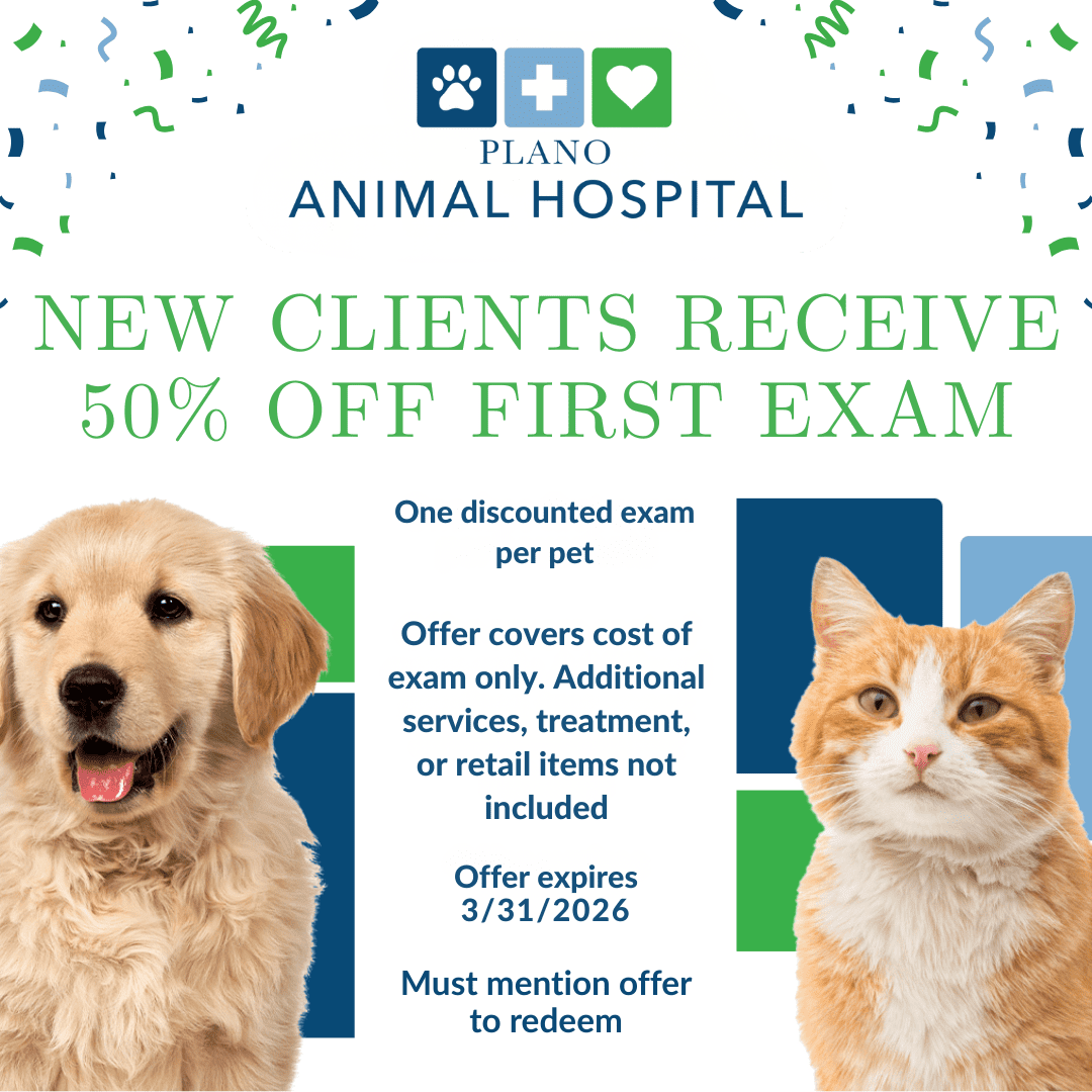 Plano Animal Hospital New Clients Promotion