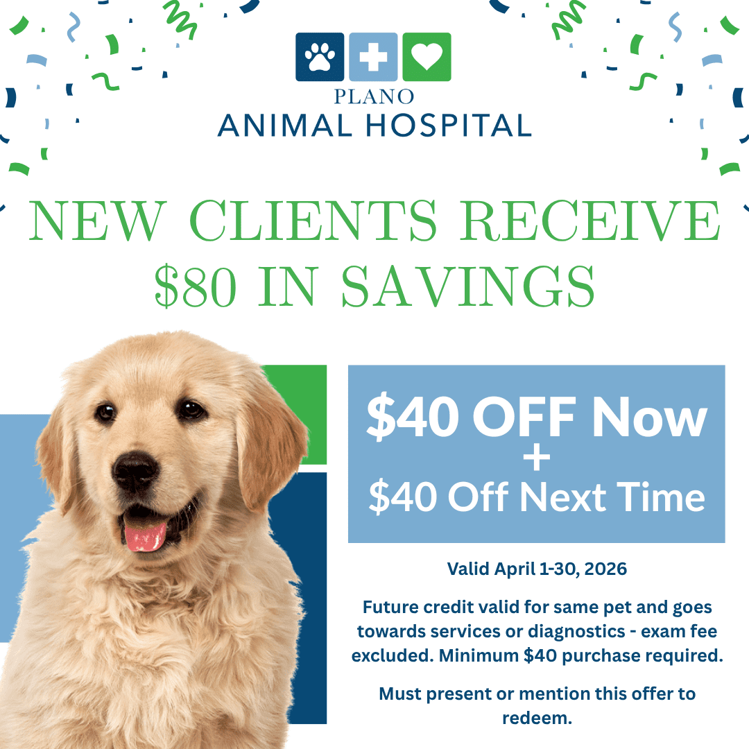 New Clients Receive $80 Off