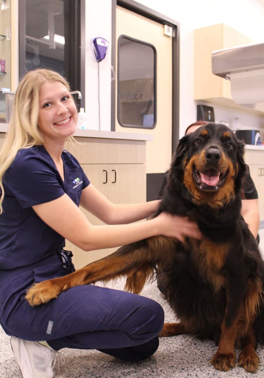 female tech sitting on floor with large black and brown dog